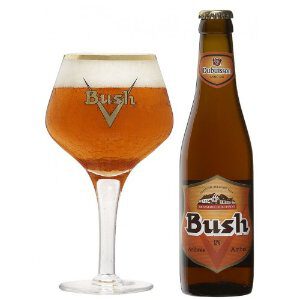 Bush  Caractere - Bierwinkel de Verwachting